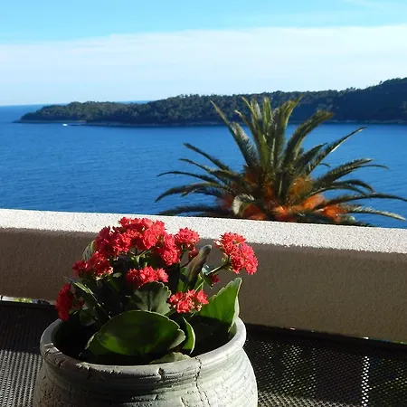 Appartement Perica *